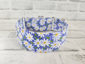Purple Daisy 2" Medium Martingale Collar 12"-19"