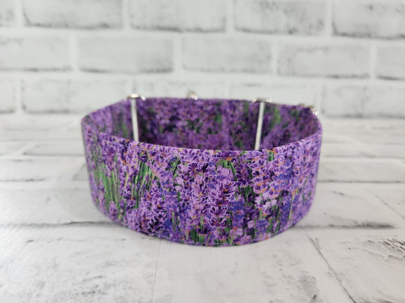 Lavender Fields 2