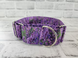 Lavender Fields 2" Medium Martingale Collar 12"-19"