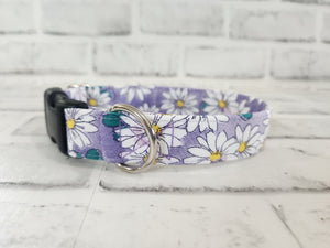 Daisies on Purple 1" Small Buckle Collar 10"-15"