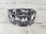 Adventure Awaits 1.5" Small Martingale Collar 10"-15"