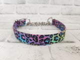 Rainbow Cheetah 3/4" Small Chain Martingale Collar 10"-15"