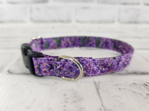 Lavender Fields 5/8" X-Small Buckle Collar  7"-11"