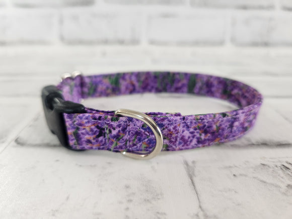 Lavender Fields 5/8