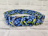 Blueberries 1.5" Large Martingale Dog Collar 17"-24"