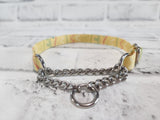 Spring Doodle 1/2" X-Small Chain Martingale Collar  9"-11"