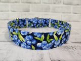 Blueberries 1.5" Large Martingale Dog Collar 17"-24"