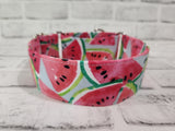 Watermelon 2" Medium Martingale Collar 12"-19"