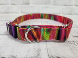 Rainbow Waves 1" Large Martingale Collar 17"-24"