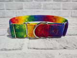Rainbow Flowers 1.5" XL Martingale Collar 19"-28"