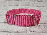 Pink Stripes 2" XL Martingale Dog Collar 17"-28"