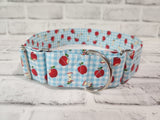 Summer Picnic 2" XL Martingale Dog Collar 17"-28"