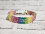 Rainbow Floral Doodle 1" Medium Chain Martingale Collar 12"-19"