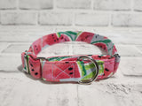 Watermelon 1" Medium Martingale Collar 12"-19"