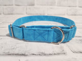 Blues 1" Large Martingale Collar 17"-24"
