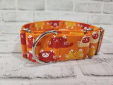 Orange Kitty 2" Medium Martingale Collar 12"-19"