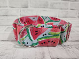 Watermelon 2" Medium Martingale Collar 12"-19"
