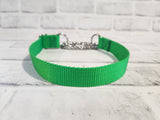 Green Apple 1" Medium Nylon Chain Martingale Collar 12"-19"