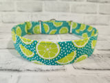 Lime 1.5" Large Martingale Dog Collar 17"-24"