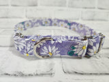 Purple Daisy 1" Large Martingale Collar 17"-24"