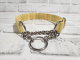 Spring Doodle 1" Medium Chain Martingale Collar 12"-19"