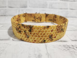 Honey Bee 1.5" Large Martingale Dog Collar 17"-24"