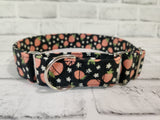 Strawberries 1.5" Large Martingale Dog Collar 17"-24"