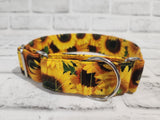 Sunflower 1.5" Medium Martingale Collar 12"-19"