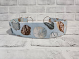Seashells 1.5" Large Chain Martingale Collar 17"-24"