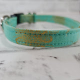 Aqua and Gold 1/2" X-Small Buckle Collar  7"-11"