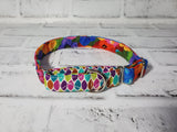 Rainbow Floral Two-Tone 3/4" Small Martingale Collar 10"-15"