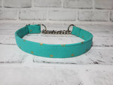 Teal with Gold Stars 3/4" Medium Chain Martingale Collar 12"-19"
