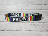 Pride 1" Medium Buckle Collar 12"-19"