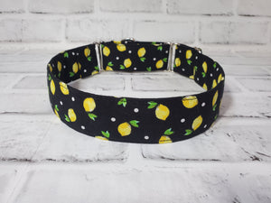 Lemons 1.5" Large Martingale Dog Collar 17"-24"