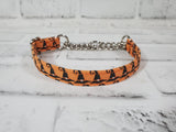 Witches Hat 1/2" X-Small Chain Martingale Collar  9"-11"