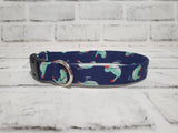 Blue Bird 3/4" Small Buckle Collar 10"-15"