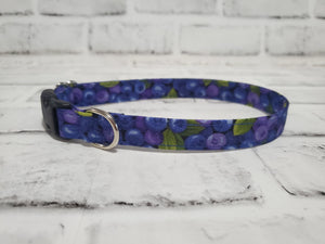 Blueberries 5/8" Small Buckle Collar 10"-15"