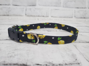 Lemons 5/8" Small Buckle Collar 10"-15"