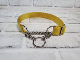 Gold 1" Medium Nylon Chain Martingale Collar 12"-19"