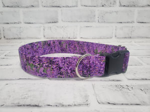 Lavender Fields 1.5" Large Buckle Collar 15"-24"