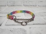 Rainbow Floral 1/2" X-Small Chain Martingale Collar  9"-11"