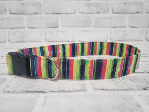 Summer Stripes 1.5" XL  Buckle Dog Collar 18"-30"