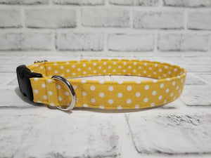 Yellow and White Polka Dot 1" Medium Buckle Collar 12"-19"