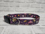 Sea Life Cartoon 1.5" Large Buckle Collar 15"-24"