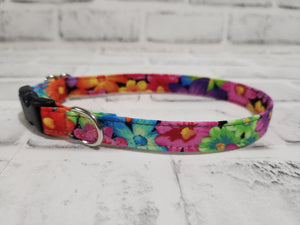 Rainbow Daisy 5/8" Small Buckle Collar 10"-15"