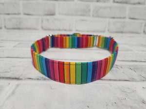 Rainbow Stripes 1" Medium Martingale Collar 12"-19"
