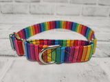 Rainbow Stripes 1" Medium Martingale Collar 12"-19"