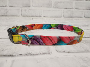 Macaroons 3/4" Medium Buckle Collar 12"-19"