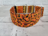 Tiny Pumpkins  Two-Tone 1.5" Small Martingale Collar 10"-15"