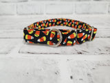 Candycorn  3/4" Small Martingale Collar 10"-15"